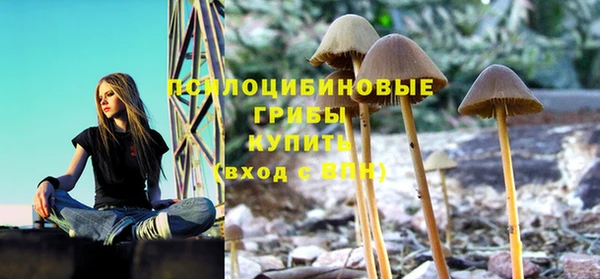 мескалин Михайловск