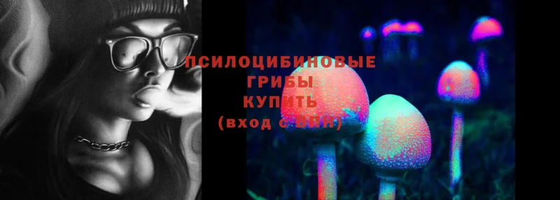 Галлюциногенные грибы Psilocybine cubensis  shop телеграм  Инза  KRAKEN рабочий сайт 